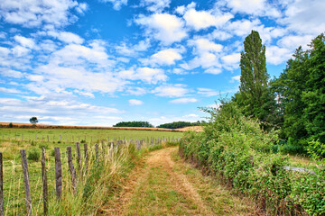 Naklejka premium A countryside dirt road leading to agriculture fields or farm pasture in remote area location with blue sky and copy space. Landscape view of quiet, lush, green scenery of farming meadows in Germany