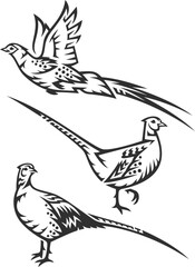 Stylized Bird - Pheasant