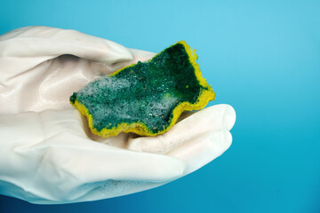 Old and dirty dishwashing sponge in gloved hands. Germs and bacteria.                       