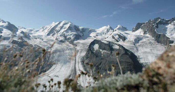 Panoramic view of Monte Rosa Gletscher with alpine grass in foreground