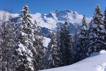 Fototapeta na wymiar snow covered ski slopes in snowy winter in Swiss Alps