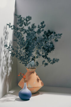 plant in circle white pot and place at the Corner with flower vase