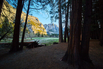 Upper Yosemite Falls at golden hour by riverbank through dark pine tree forest