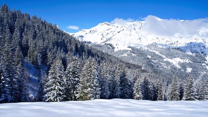 Fototapeta na wymiar ski slopes snowy in winter in swiss alps