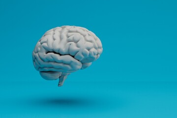 brain on a blue background. anatomical systems. neurological problems. 3d render. 3d illustration