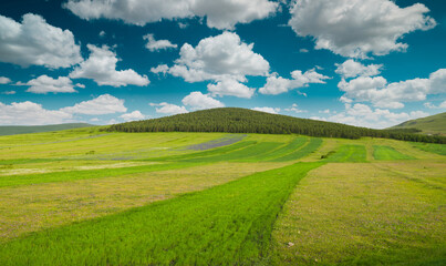 Meadows, forests and beautiful clouds. Natural background.