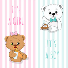 Baby shower card with cute bear. Greeting card it's a boy, a girl with a teddy bear. Vector illustration