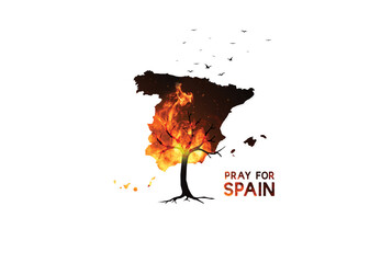 Obraz na płótnie Canvas Pray for Spain. Europe heat wave concept. Tree and birds burned by bush fire. Spain bush fire concept.