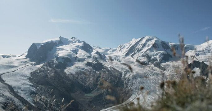 Panoramic view of Monte Rosa Gletscher with alpine grass in foreground