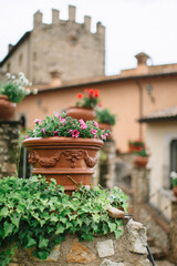 Fototapeta na wymiar Pink flowers in a clay pot with stucco stand on a stone pillar covered with ivy. In the background are Italian houses and a medieval castle.