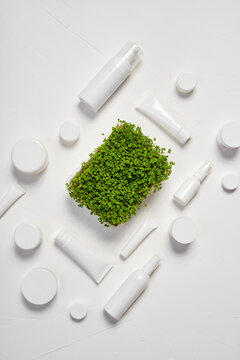 Microgreens and cosmetics 