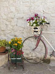 Fototapeta na wymiar Alberobello, Italy, Apulia region Trullo buildings, Trulli of Alberobello UNESCO site whitewashed wall decorated with bicycle and potted summer flowers