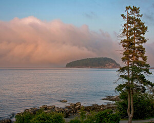 Fog Bank on Maine Coast