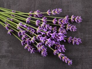 Lavender. - 518385129