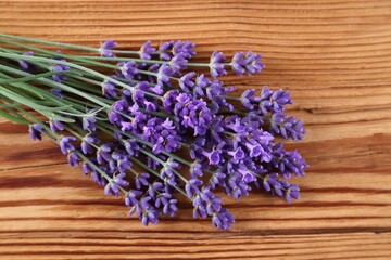 Lavender. - 518385146