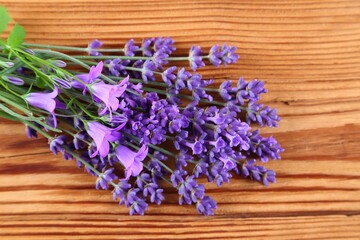 Blooming lavender. - 518385164