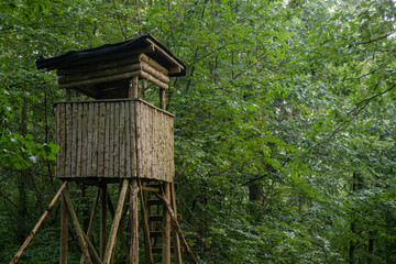 Fototapeta na wymiar High seat of a hunter in the black forrest. Tree stand, ladder stand or deer stand. Deer hunting.