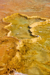 Yellowstone hot spring up close to terraces looking down