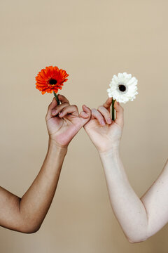 Diverse women with flowers making pinky promise