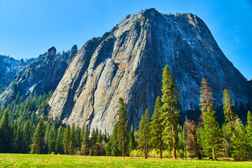 Fototapeta na wymiar Yosemite iconic Cathedral Rocks from fields and forest floor