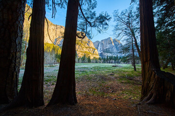 Upper Yosemite Falls through opening in dark forest