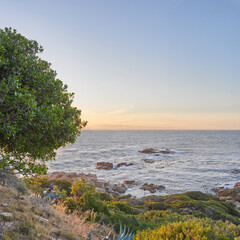 Landscape of ocean from Table Mountain park in Cape Town with copy space. Sunset view of sea with rocks and green grass, shrubs plant, bushes and a tree perfect for hiking, vacation trip or holiday