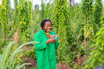 young African female farmer in Nigerian using mobile phone checking internet