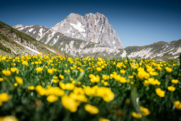 il corno grande del gran sasso d'italia visto da campo imperatore in una giornata di primavera