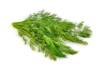 Fresh dill bunch, fresh condiments, isolated on white background.