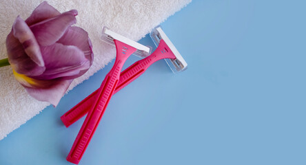 Fototapeta premium Pink razor tulip flower on colored background