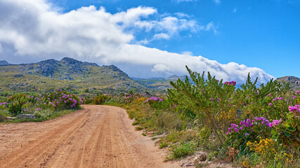 Countryside dirt road leading to scenic mountains with Perezs sea lavender flowers, lush green plants and bushes growing along the path. Landscape view of quiet scenery in a beautiful nature reserve