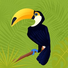 Toucan, exotic birds, tropical flowers, palm leaves, jungle leaves, bird of paradise vector illustration.