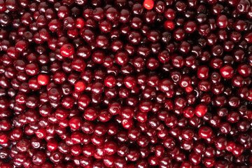 Cherry as background or texture