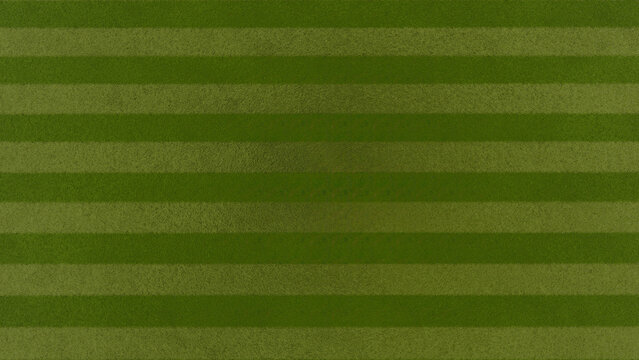 Green grasses field background for soccer , footbal