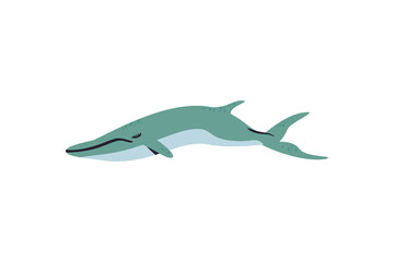 flat colored whale