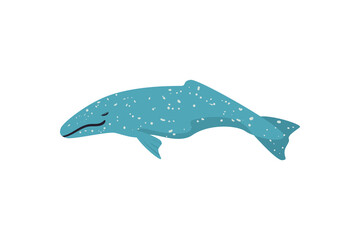 flat whale icon