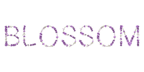 vector lettering Blossom from letters in the form of lavender