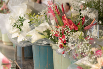 Beautiful flowers and plants found in floriculture and fair