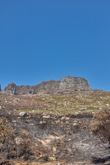 The aftermath of a natural mountain landscape destroyed by wildfire destruction on table mountain in Cape Town, South Africa. Burnt bushes, shrubs, plants, and vegetation after a fire disaster
