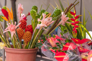 Beautiful flowers and plants found in floriculture and fair