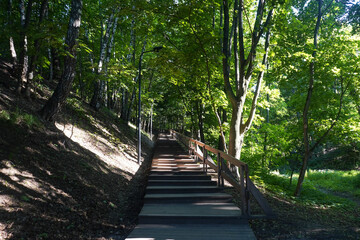 Fototapeta na wymiar Eco wooden stairs walkway among trees in a park in summer sunny day