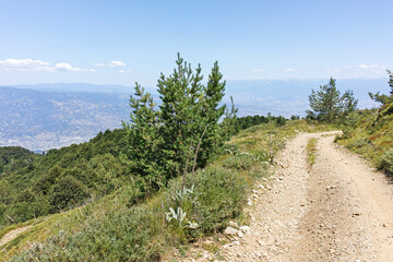 Obraz premium Summer landscape of Belasitsa Mountain, Bulgaria