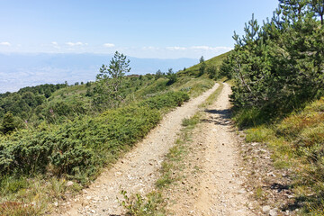 Plakat Summer landscape of Belasitsa Mountain, Bulgaria