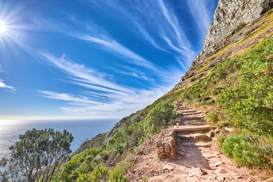 Trail on rocky landscape on Table Mountain in sunny Cape Town, South Africa. Lush green trees and bushes growing against a blue sky background. Relaxing, soothing views from a mountain peak