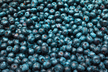 Blueberries