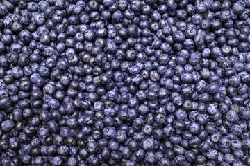 Blueberries