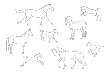 Collection of line images of free mares with foals, for colouring book - obrazy, fototapety, plakaty