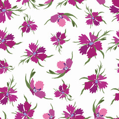 Meadow carnation pattern.For fabrics, for printing brochures, posters, parties, vintage textile design, postcards, packaging