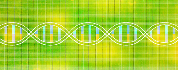  DNA helix with pencil and glass texture