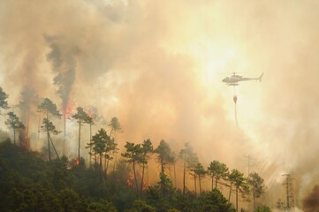 Elicottero antincendio sta buttando acqua sul bosco in fiamme, Italia